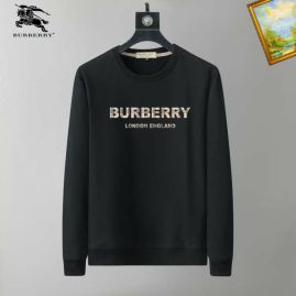 Picture of Burberry Sweatshirts _SKUBurberryM-3XL25tn8524853